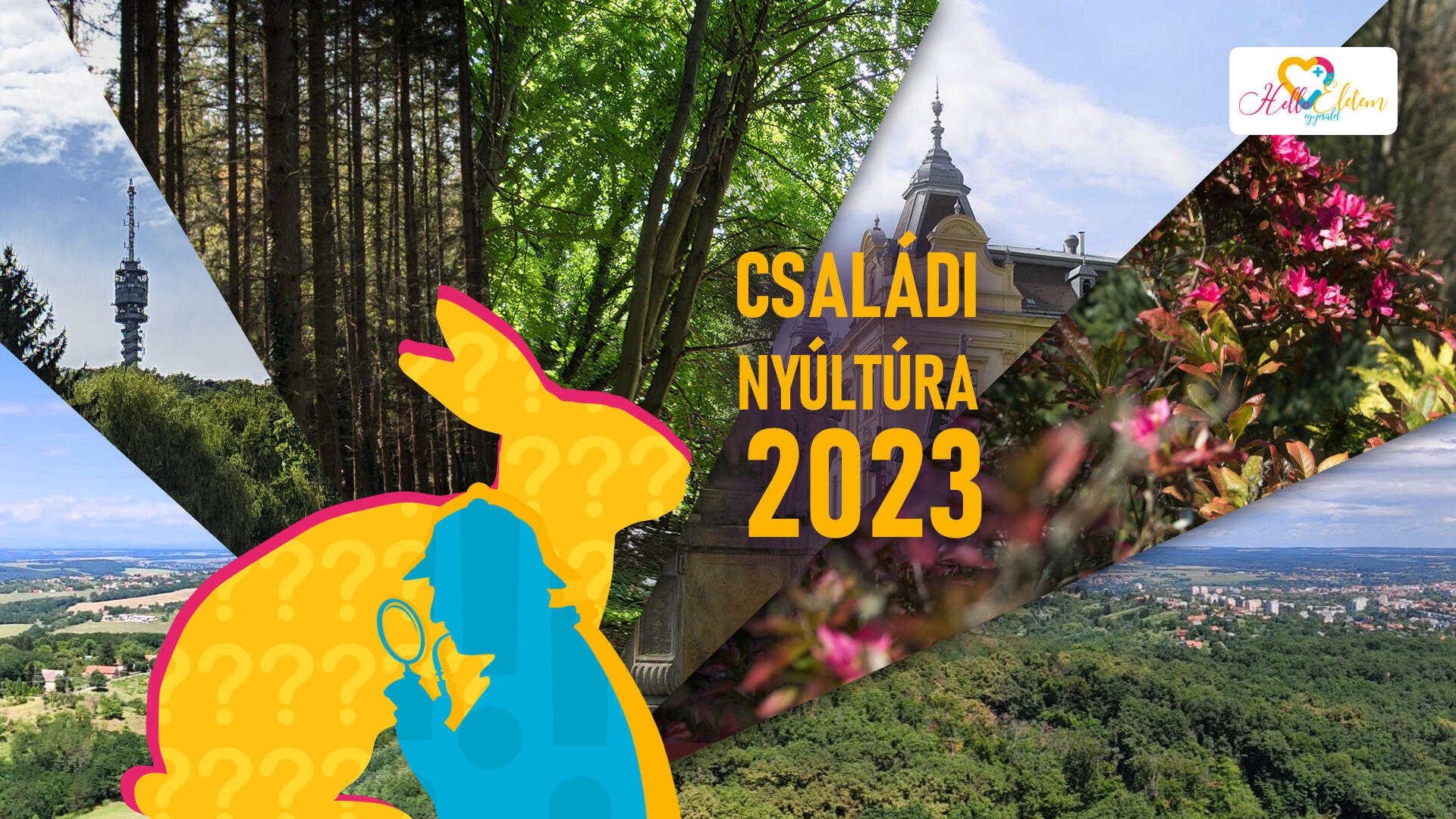 CSALDI NYLTRA 2023